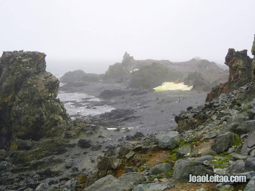 Paisagem com nevoeiro da Ilha Meia Lua - Ilhas Shetland do Sul na Península Antártida