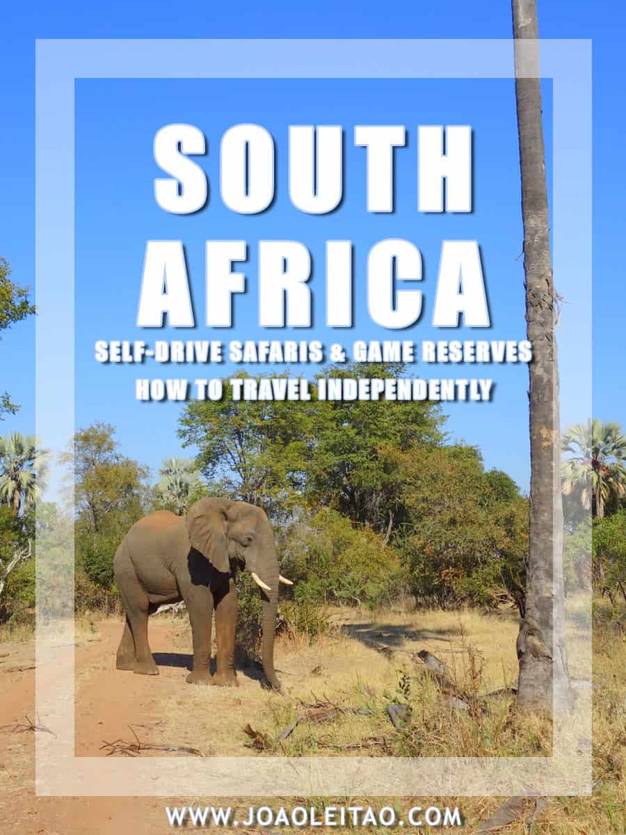 Self-Drive Safaris in South Africa Parks & Game Reserves - How to Travel Independently