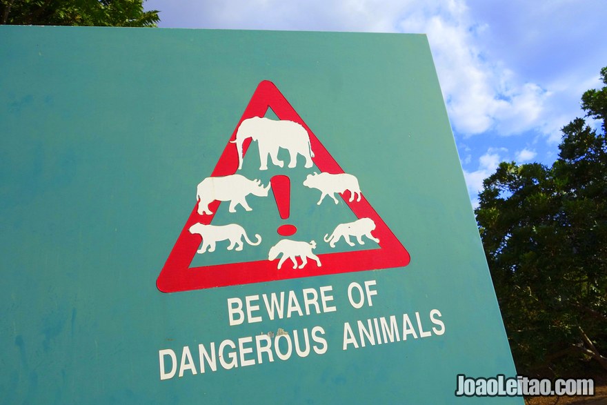 Beware of dangerous animals road sign