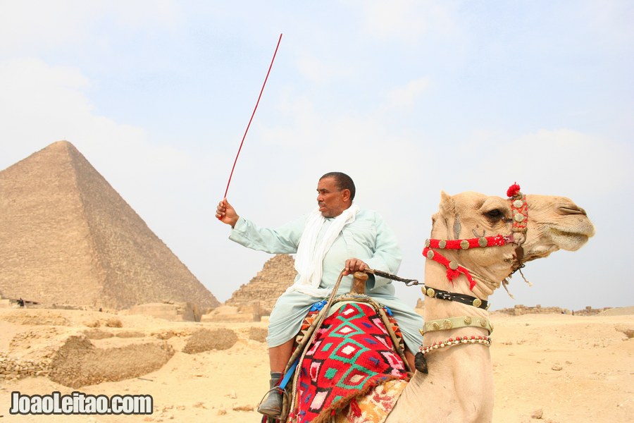 Pyramid of Cheops and Egyptian man riding a camel