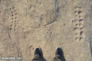 Al Jassasiya Rock Carvings in Qatar