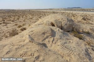 Amazing places to go when you visit Qatar