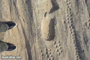 Al Jassasiya Rock Carvings in Qatar