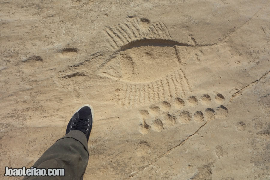 Al Jassasiya Rock Carvings in Qatar