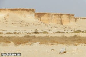 Al Reem Biosphere Reserve in Qatar