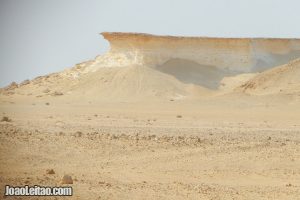 Al Reem Biosphere Reserve in Qatar