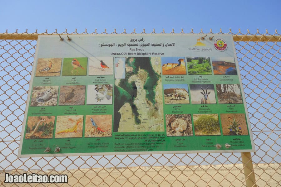 Al Reem Biosphere Reserve in Qatar