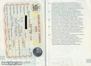 Peek Inside a Full Passport and be inspired to Travel