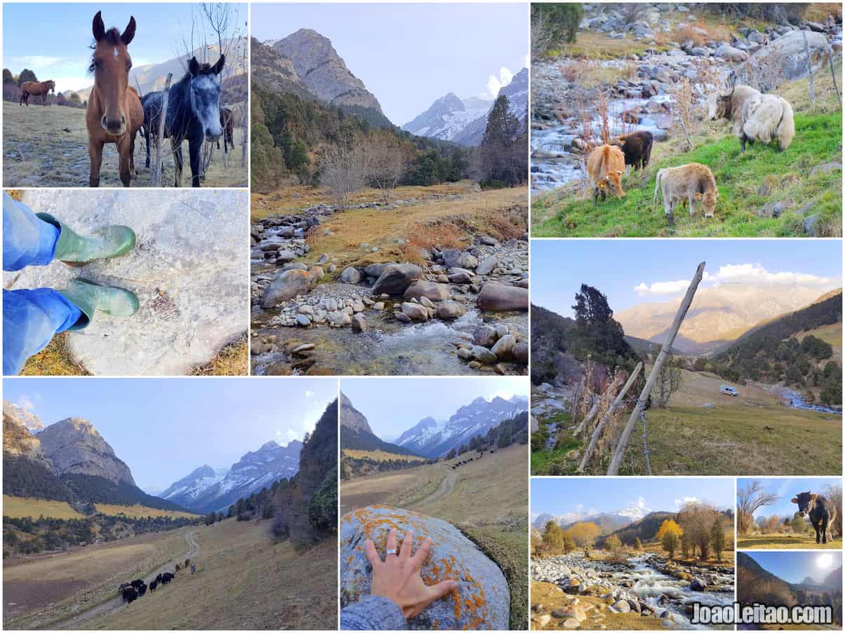 KYRGYZ ATA NATIONAL PARK KYRGYZSTAN