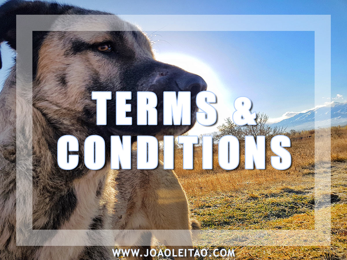 BLOG TERMS AND CONDITIONS