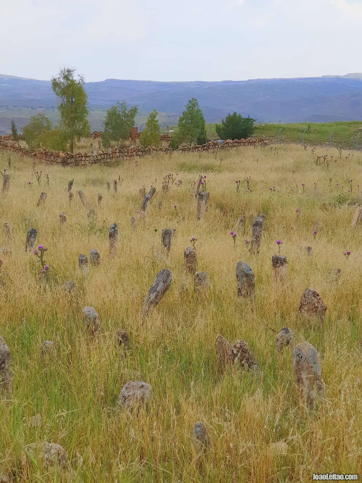 DWIN CASTLE CEMETERY IRAQ