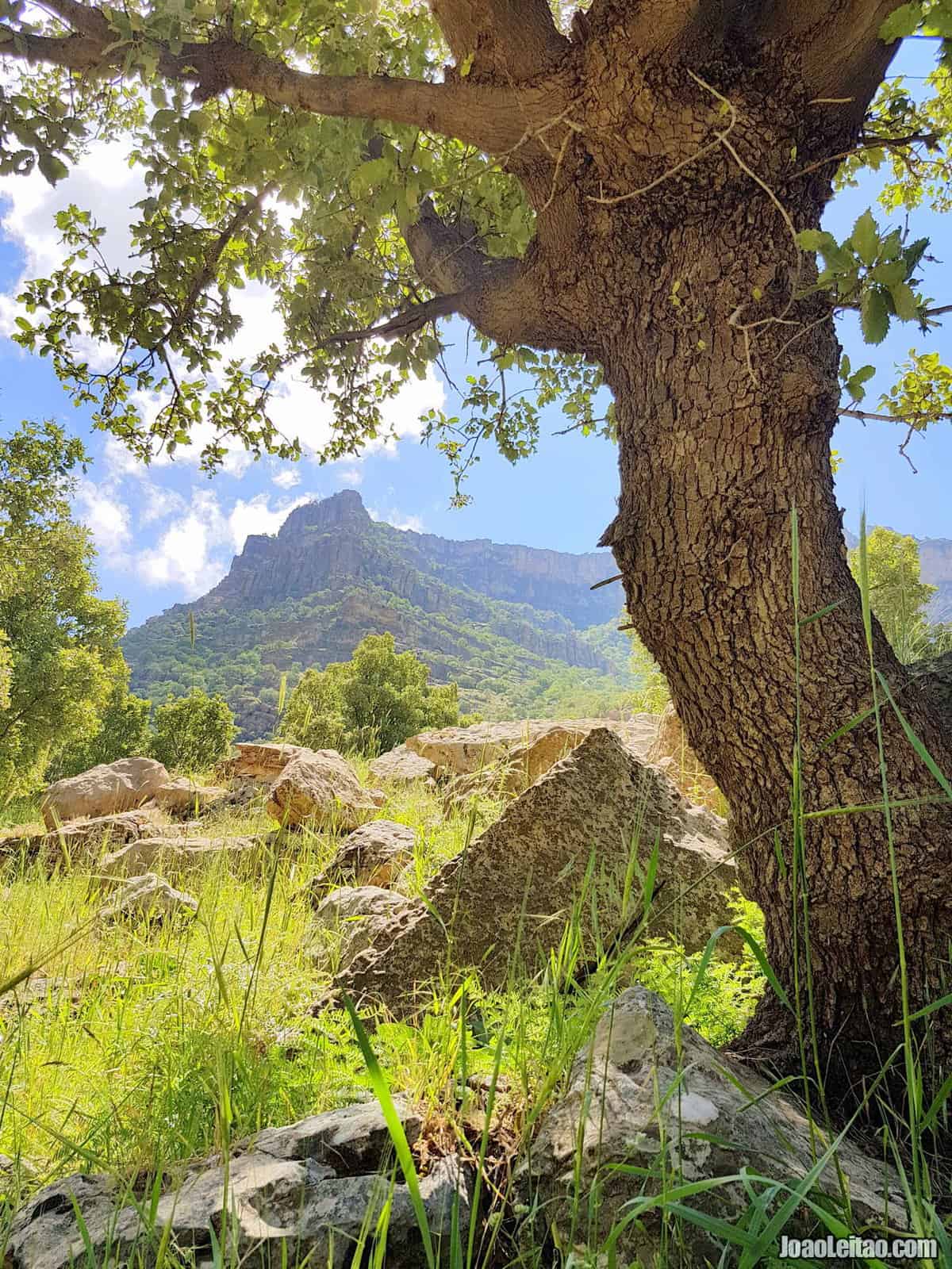 Visit Bamo Mountain in Iraqi Kurdistan