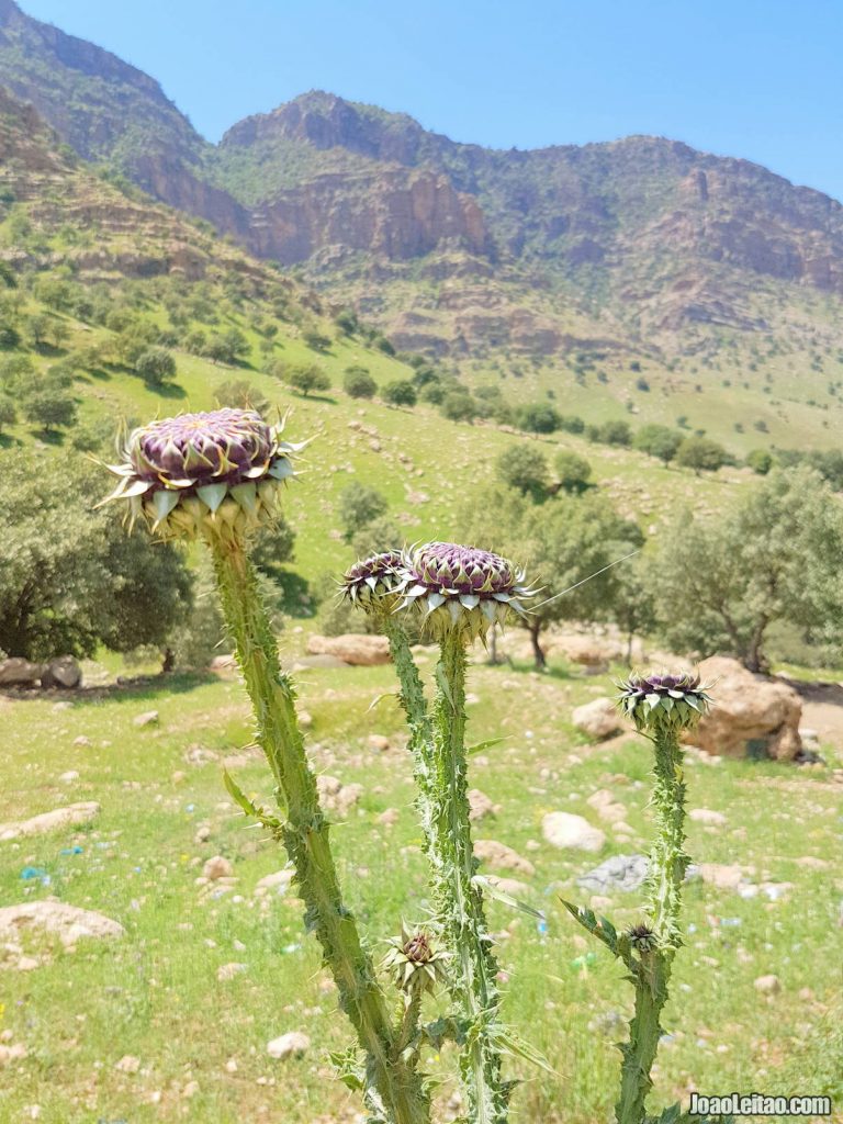 Bamo Mountain in Iraqi Kurdistan