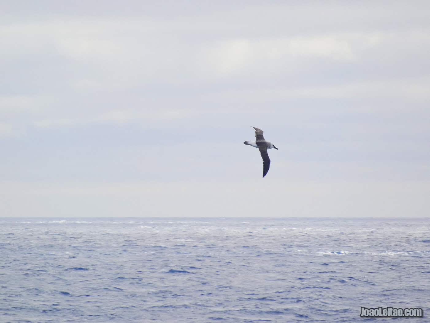 Crossing the Drake Passage in Antarctica