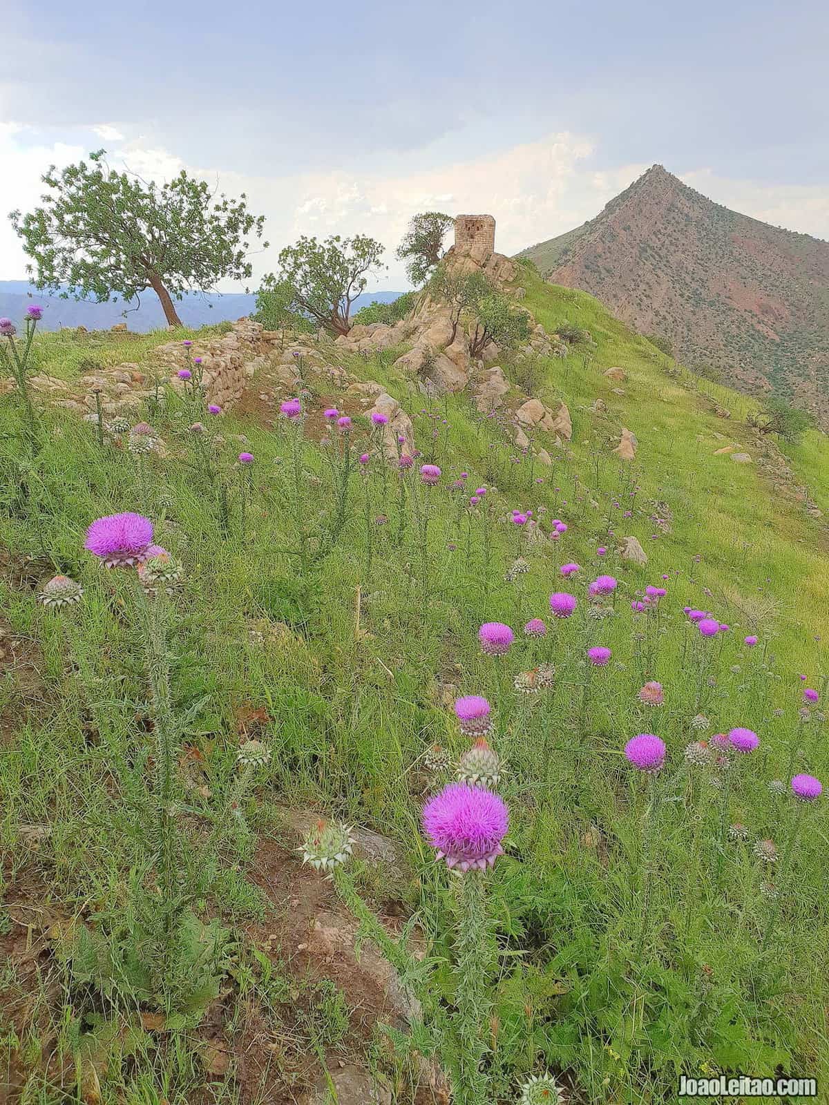 Visit Dwin Castle in Iraqi Kurdistan