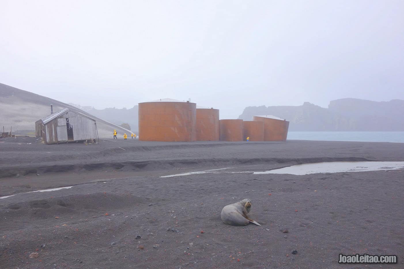 Visit Deception Island in Antarctica