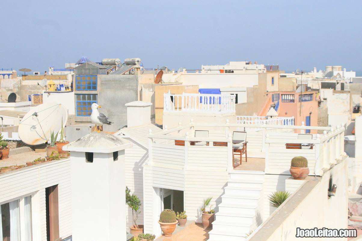 Essaouira Skyline