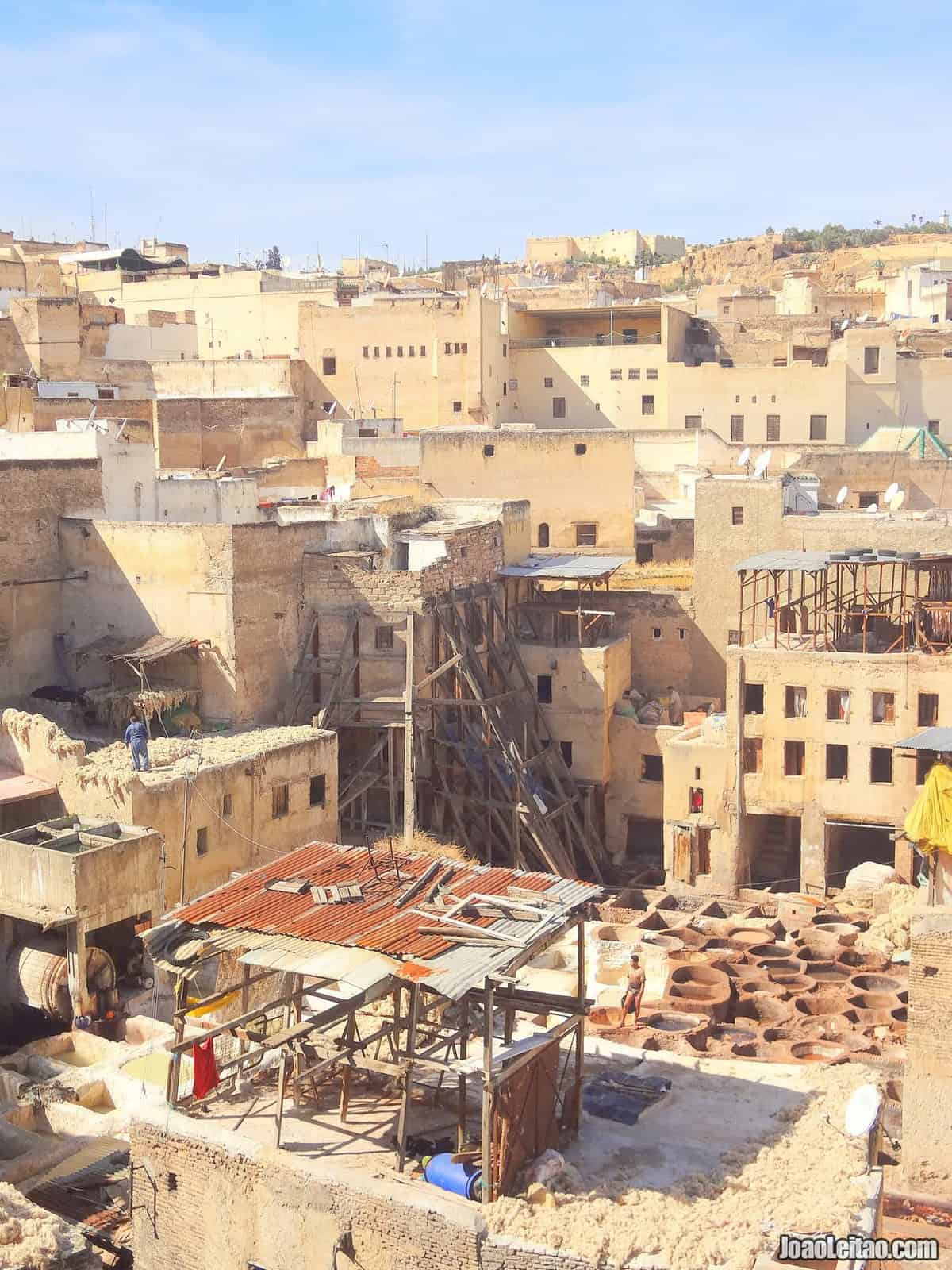 The Fez Tanneries