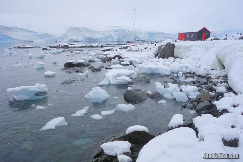 Visit Goudier Island in Antarctica