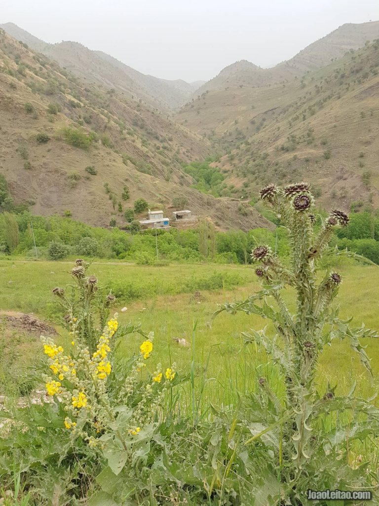 Hawar village in Iraqi Kurdistan