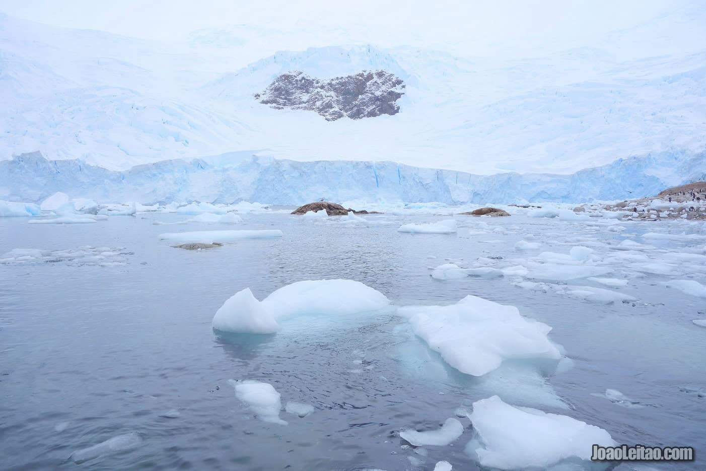 Listening to the Silence of Antarctica