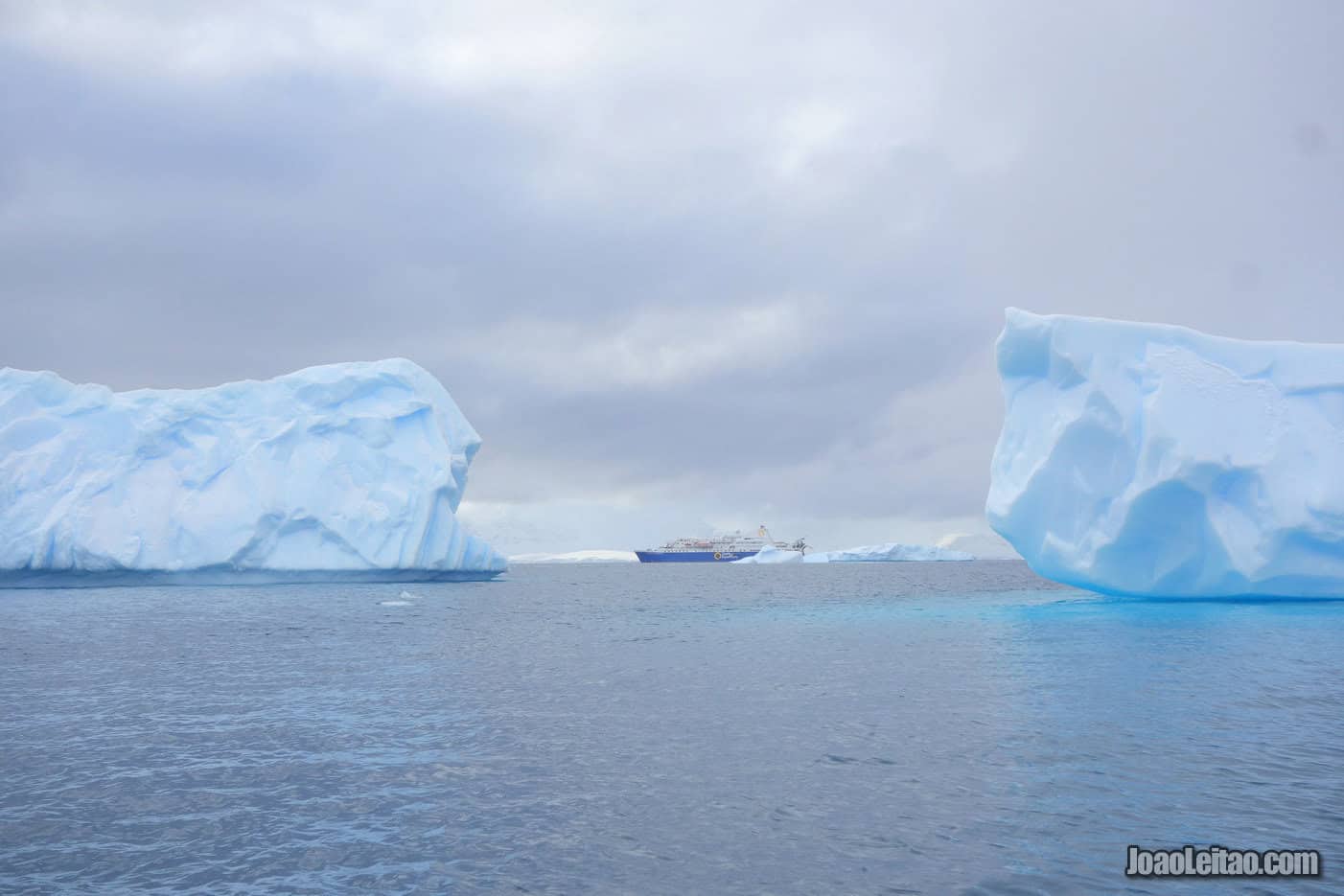 Visit Antarctica in February