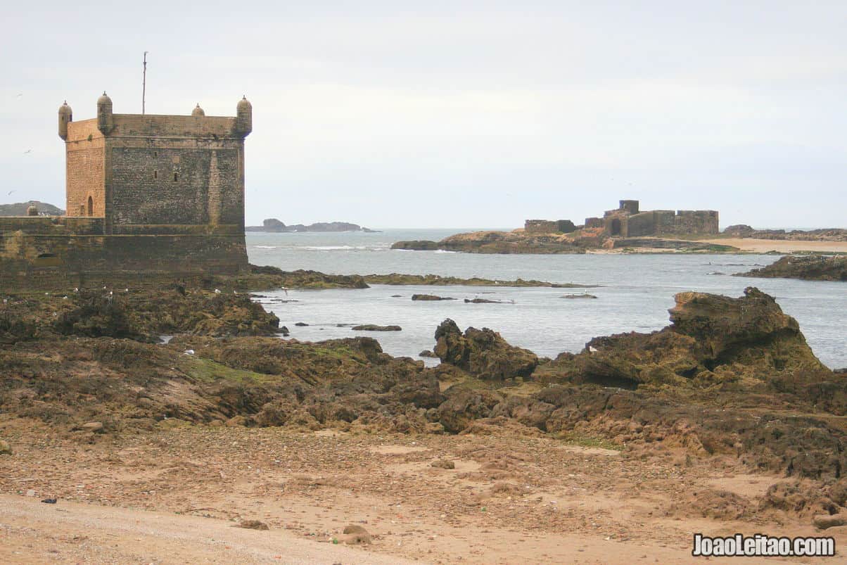 Visit Mogador Island in Essaouira