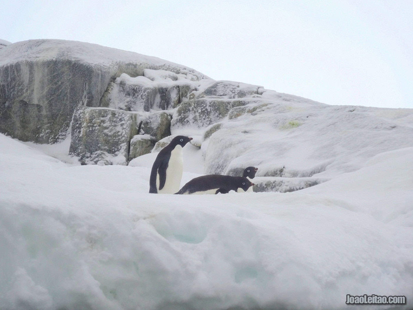 Visit Stonington Island in Antarctica