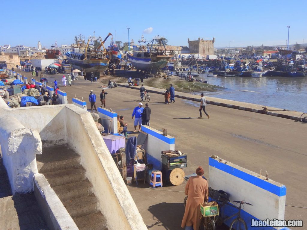 Visit the fishing port of Essaouira
