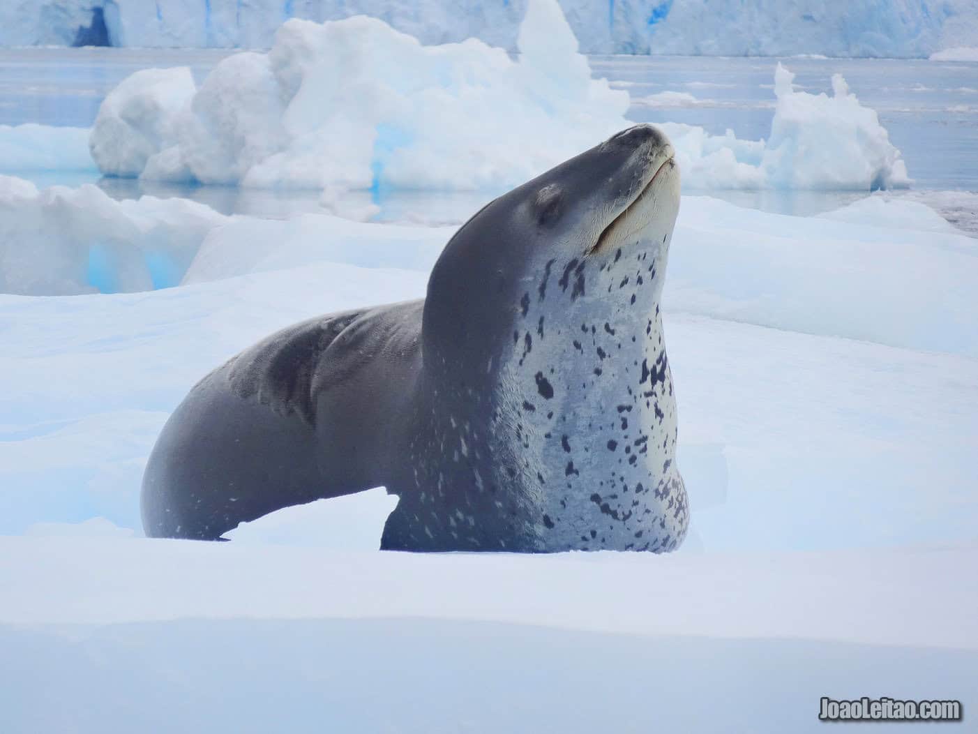 Weather in Antarctica