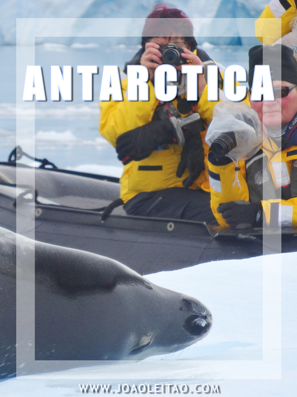 What to Do in Antarctica