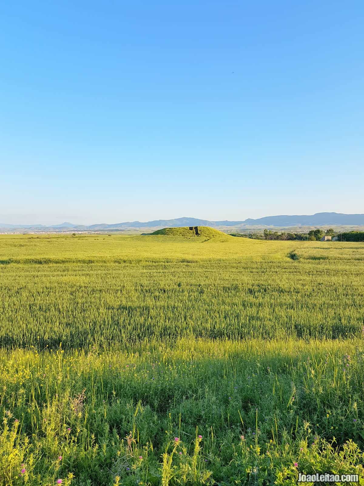 Visit Yasin Tepe in Iraqi Kurdistan