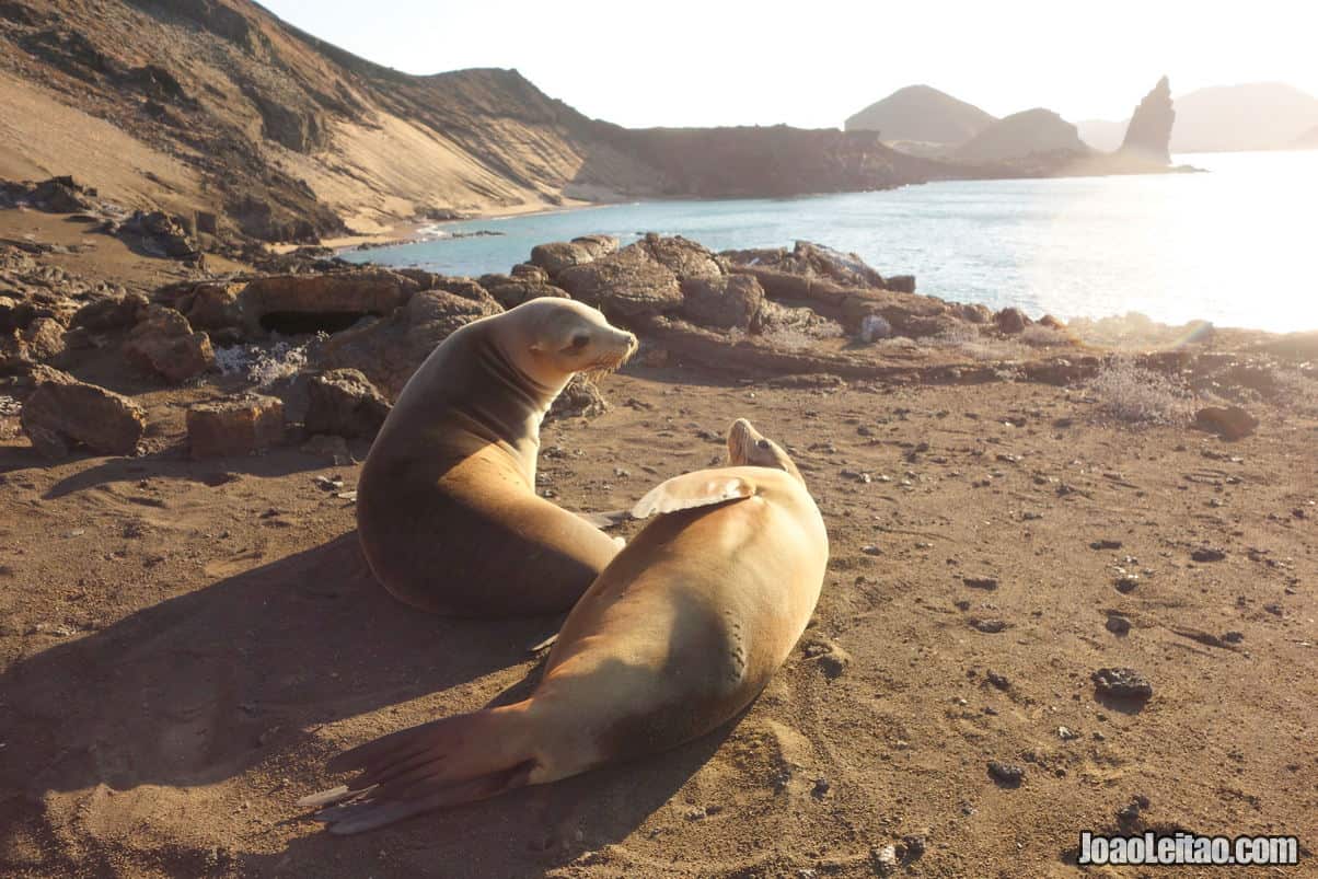 Bartolome Island in Ecuador