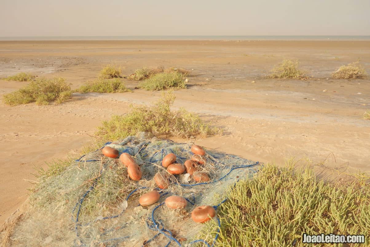 Delta of Tigris and Euphrates in Kuwait