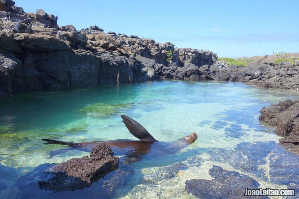 Amazing places to go when you visit Ecuador