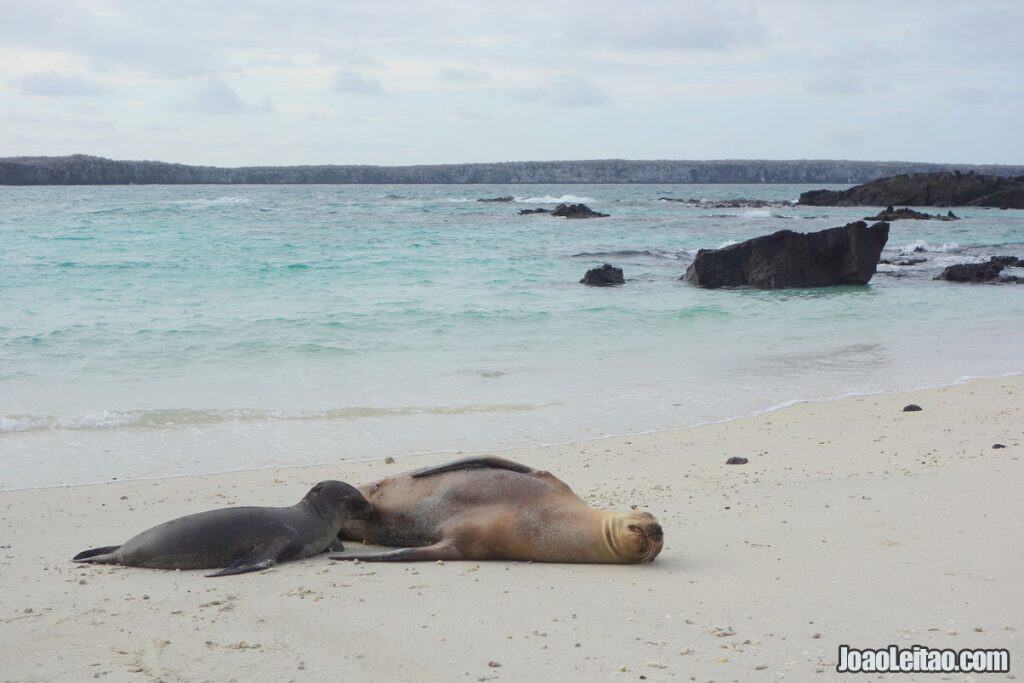 Amazing places to go when you visit Ecuador