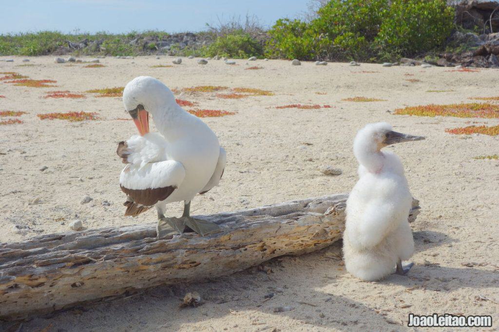 Amazing places to go when you visit Ecuador