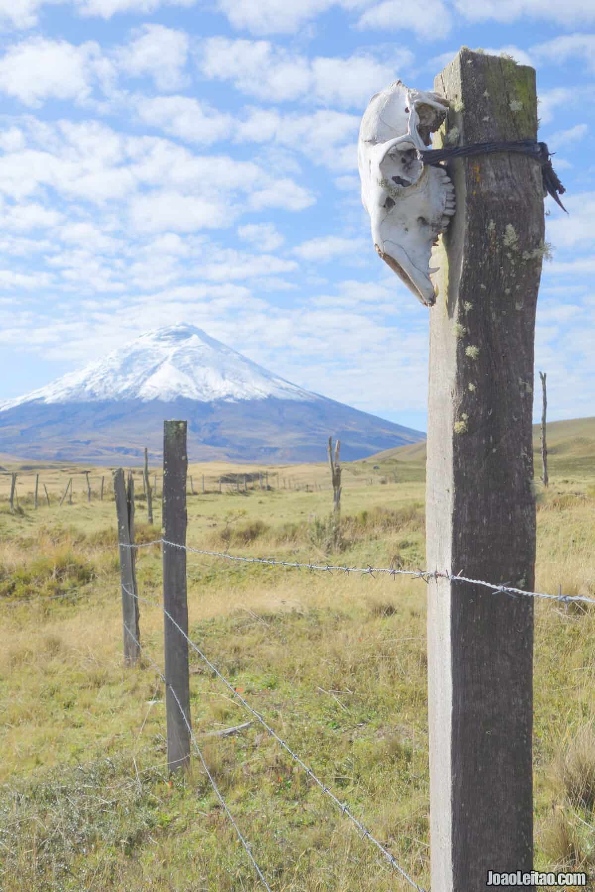 Geography of Ecuador