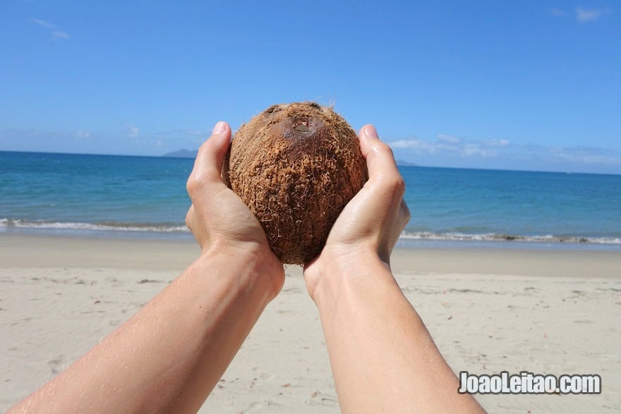 Pick and eat coconuts at the beach