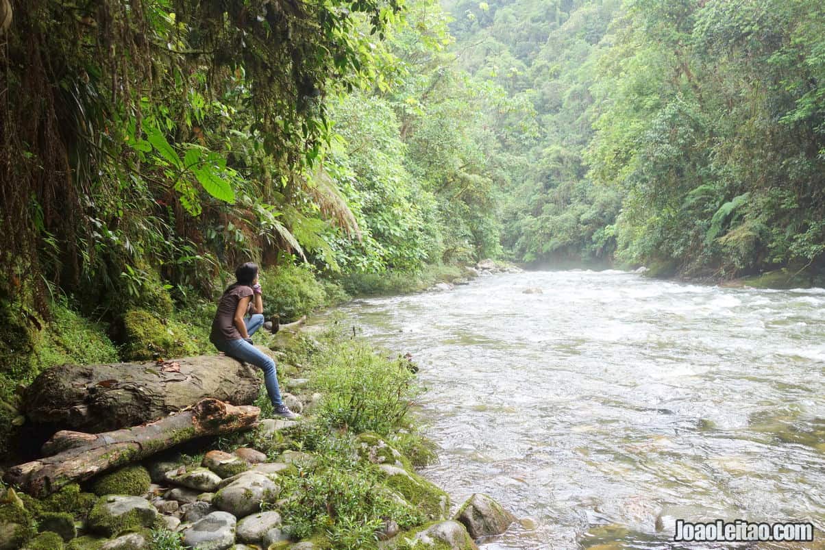 Podocarpus National Park in Ecuador