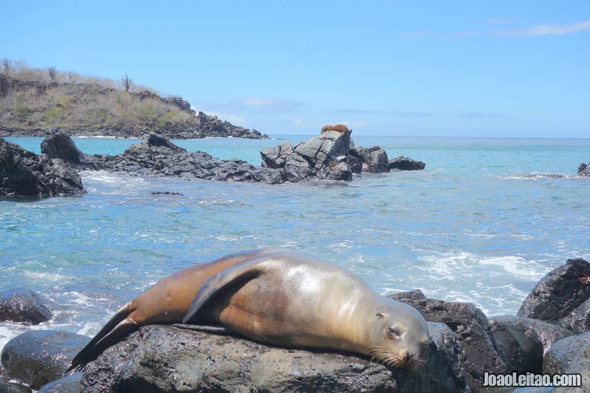 San Cristobal Island in Ecuador