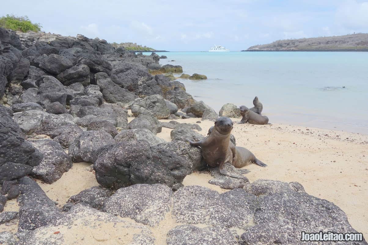 Santa Fe Island Galapagos in Ecuador