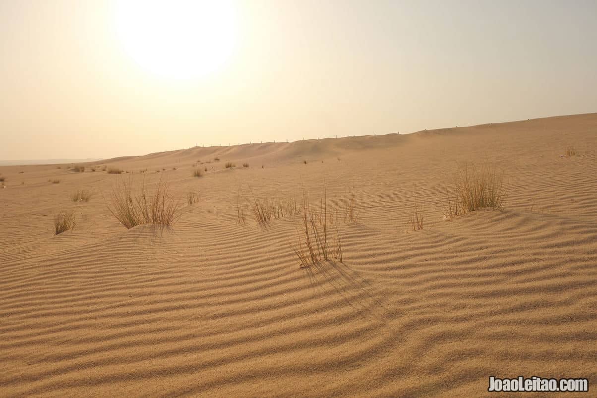 The Desert in Kuwait