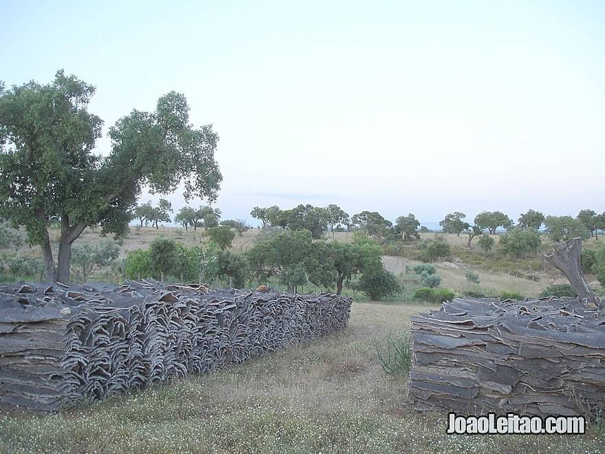 Amazing Alentejo - Cycling in Portugal - Bicycle diaries