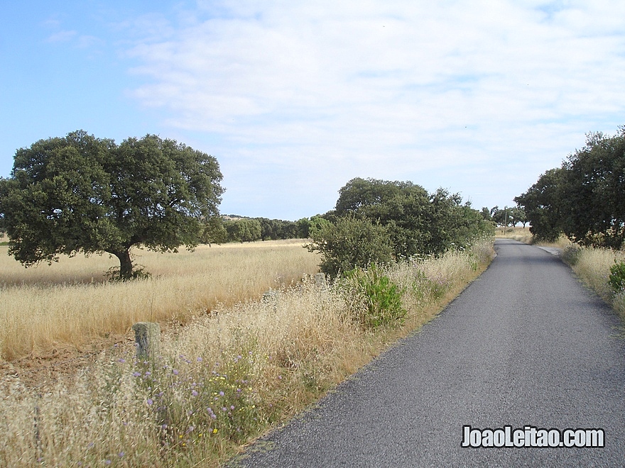 Amazing Alentejo - Cycling in Portugal - Bicycle diaries