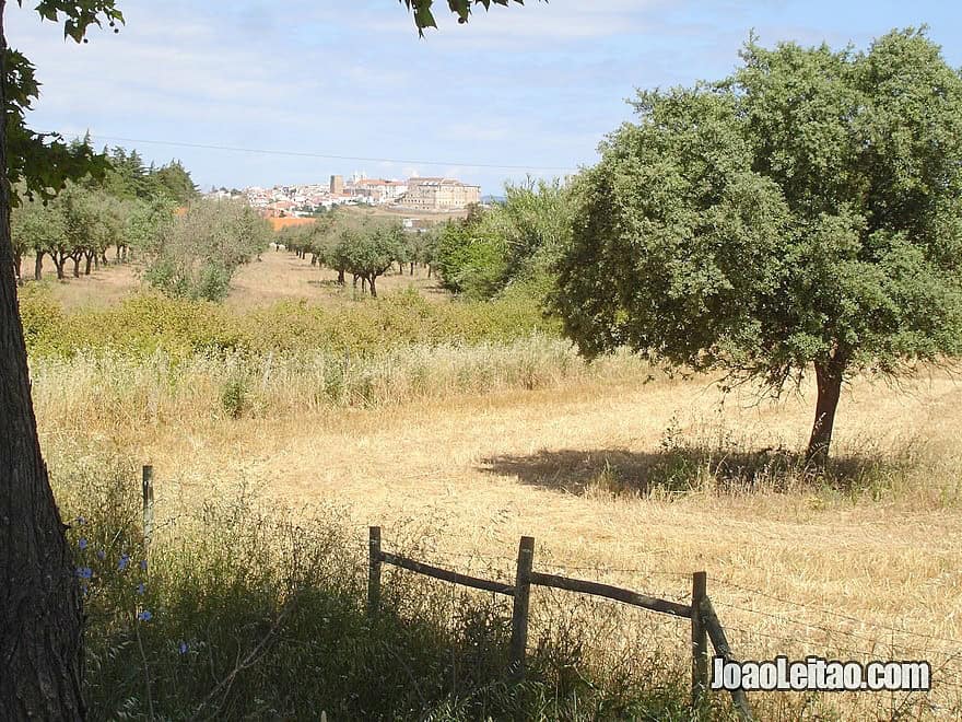 Amazing Alentejo - Cycling in Portugal - Bicycle diaries