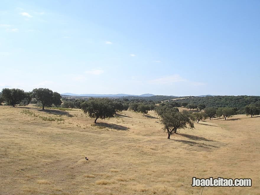 Amazing Alentejo - Cycling in Portugal - Bicycle diaries