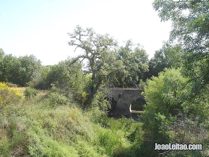 Amazing Alentejo - Cycling in Portugal - Bicycle diaries