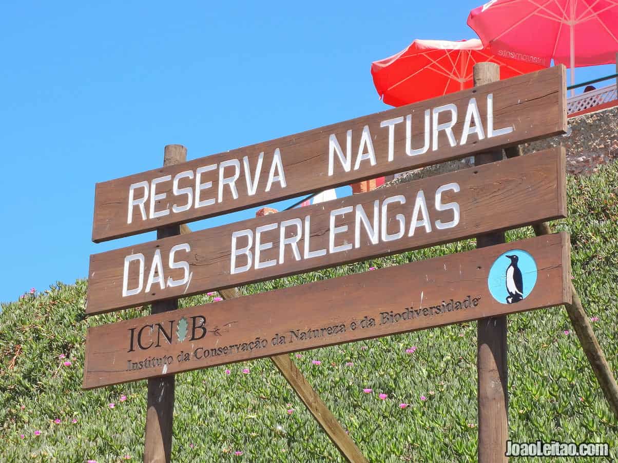 Berlengas Nature Reserve Portugal