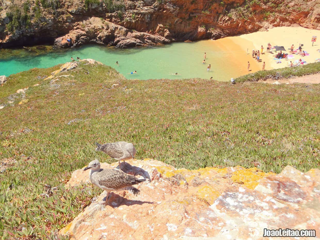 Berlengas Nature Reserve